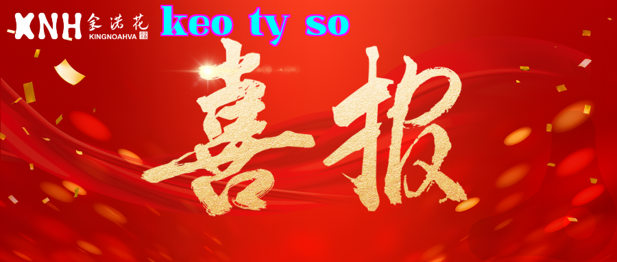 Tin vui! Hoa Kim lần đầu tiên được phê duyệt Giấy chứng nhận đăng ký thiết bị y tế hạng II quốc gia!